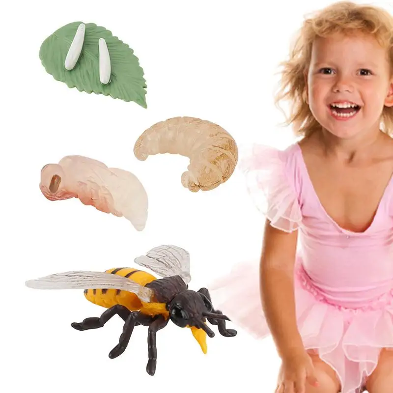 Life Cycle Toys For Kids Realistic Aneduimal Figurine Toys Children's Science Education Toys Great For Learning Cake Toppers
Life Cycle Toys For Kids Realistic Aneduimal Figurine Toys Children's Science Education Toys Great For Learning Cake Toppers