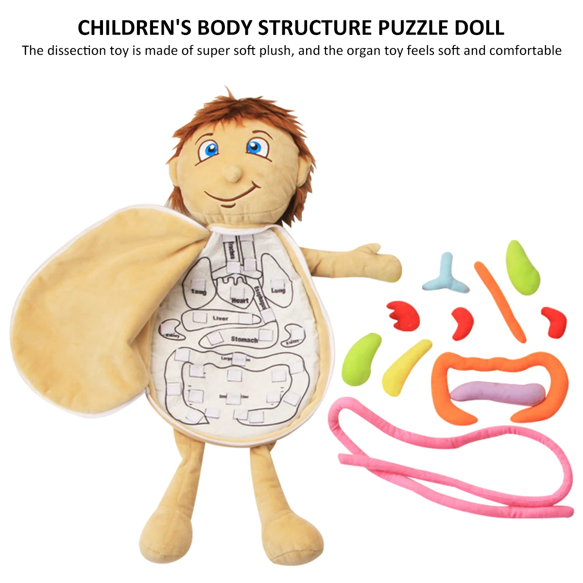 3D Organ Toy Set for Human Organ Recognition Anatomy Toy Early Educational Organ Plush Toys Detachable Human Body
3D Organ Toy Set for Human Organ Recognition Anatomy Toy Early Educational Organ Plush Toys Detachable Human Body