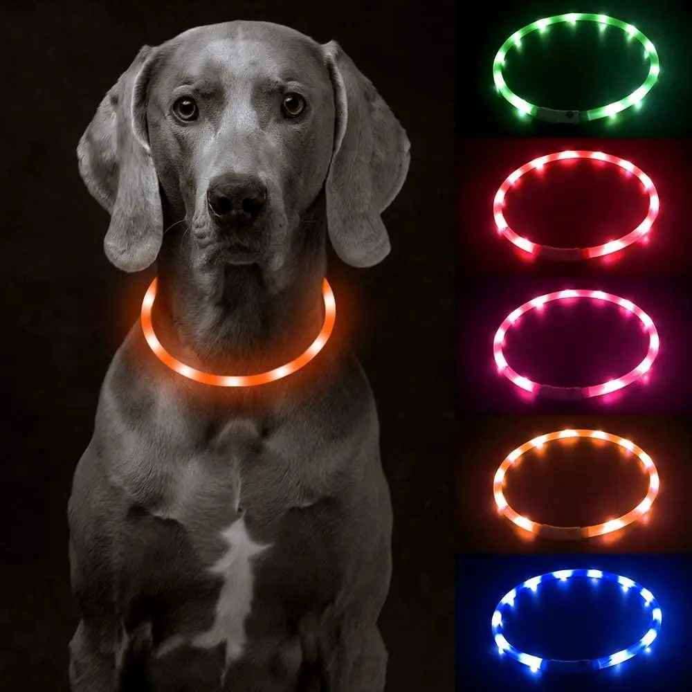 Dog Luminous Collar Usb Charging Collar Large Pet Luminous Collar Teddy Small Dog Night Walking Dog Light
Dog Luminous Collar Usb Charging Collar Large Pet Luminous Collar Teddy Small Dog Night Walking Dog Light