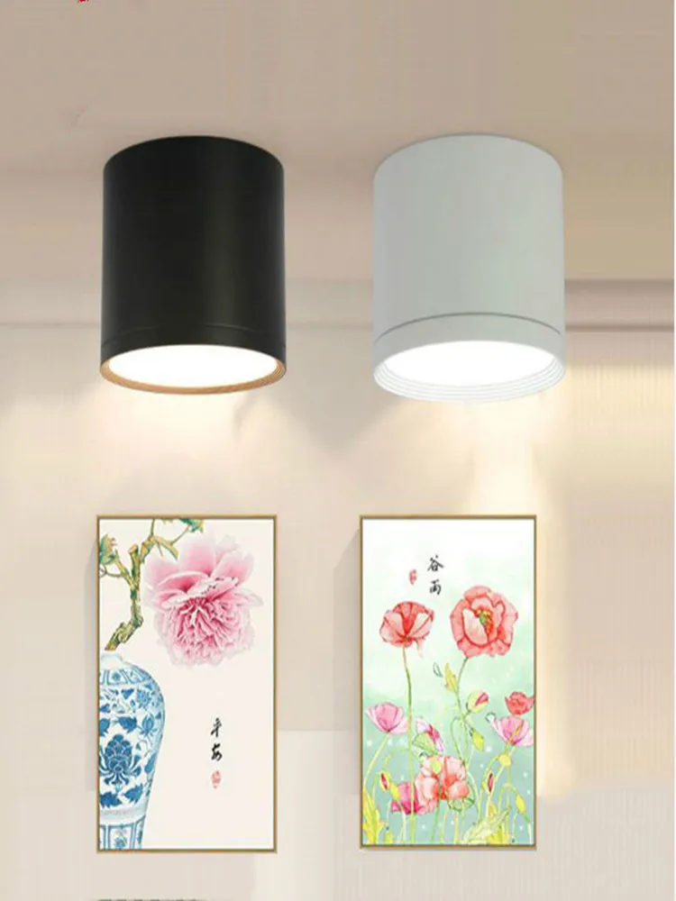 LED Ceiling light Surface mounted Dimmable Ceiling lamps Cylinder 7W 12W 15W for Bedroom,Living room,study,office,shop,Studio
LED Ceiling light Surface mounted Dimmable Ceiling lamps Cylinder 7W 12W 15W for Bedroom,Living room,study,office,shop,Studio
