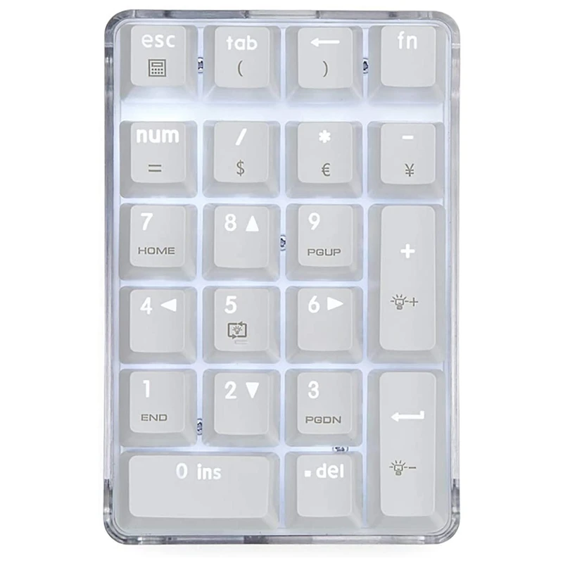 Mechanical Numeric Keypad Red Switch Wired Gaming Keypad Crystal Case White Backlit 21 Keys Mini Numpad Portable
Mechanical Numeric Keypad Red Switch Wired Gaming Keypad Crystal Case White Backlit 21 Keys Mini Numpad Portable
