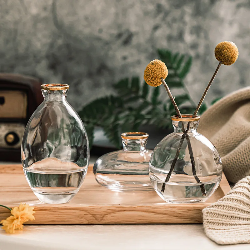 3Pcs Classic Creative Mini Vase Top Quality Glass Transparent Home Deco Living Room Reagent Bottles Flower Vase Wholesale
3Pcs Classic Creative Mini Vase Top Quality Glass Transparent Home Deco Living Room Reagent Bottles Flower Vase Wholesale