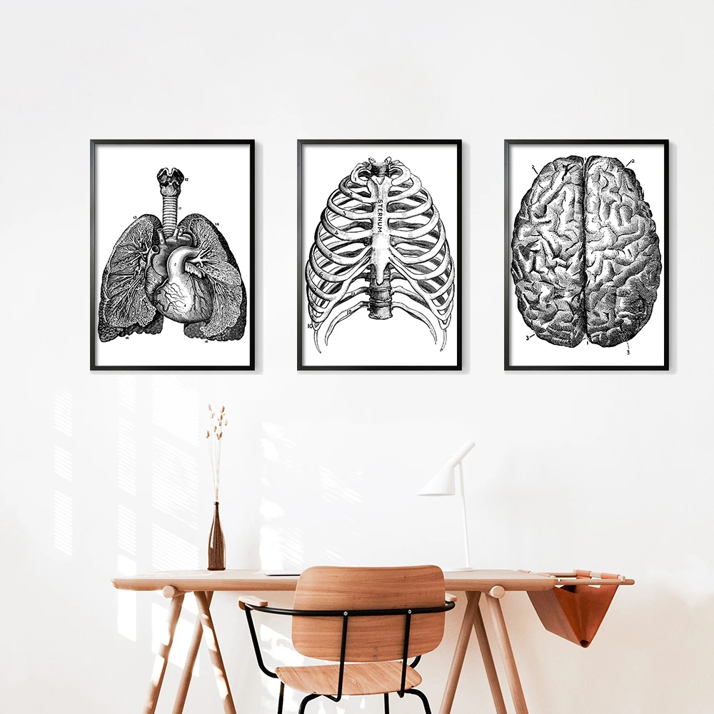 

Human Anatomy Art Canvas Painting Prints Organ Skeleton Vintage Poster Education Picture For Room Home Clinic Medical Wall Decor