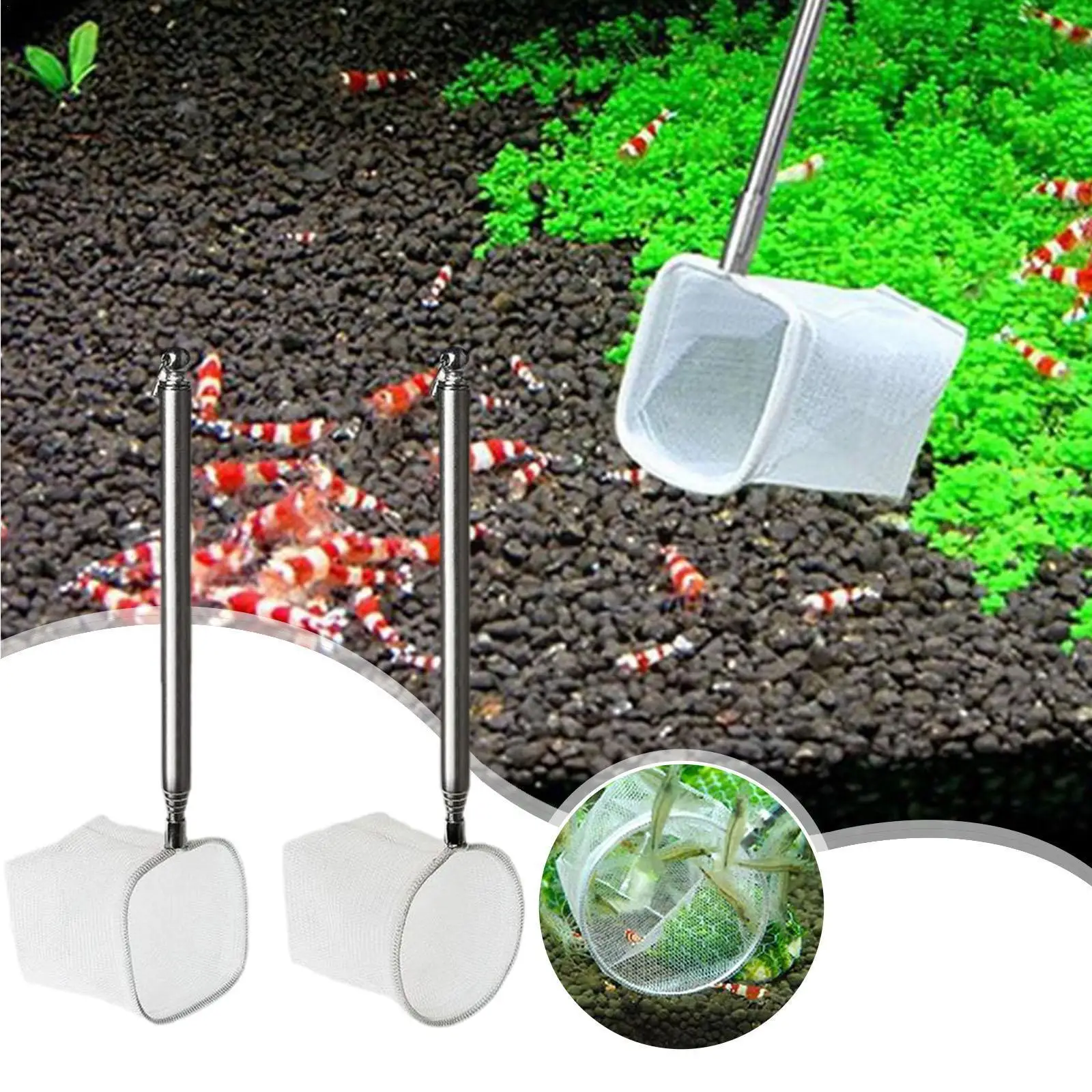 Mini Adjustable Fish Tank Catch Net Stainless Steel Shrimp Fish Accessory Scoop Square Shrimp Scoop Nets Catching Round Poc T5X4
Mini Adjustable Fish Tank Catch Net Stainless Steel Shrimp Fish Accessory Scoop Square Shrimp Scoop Nets Catching Round Poc T5X4