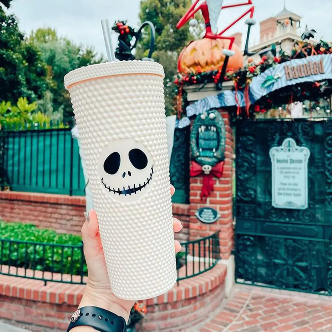 Studded Durian Cup with Lid Straw Hand Cup Coffee Double Layer Plastic Corn Cup Ins Straw Acrylic Tumbler with Dome Lid
Studded Durian Cup with Lid Straw Hand Cup Coffee Double Layer Plastic Corn Cup Ins Straw Acrylic Tumbler with Dome Lid
