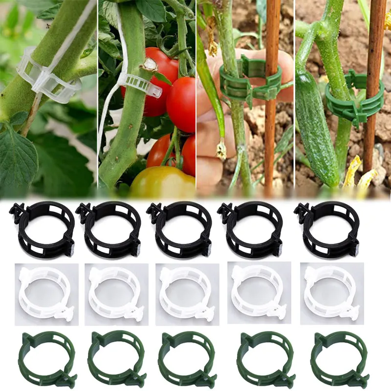 

Plant Clips Plastic Vine Hold Clips Buckle Hook Supports Connects Reusable Holder Gardening Supplies For Vegetable Tomato