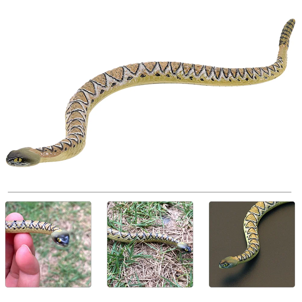 Snake Fakesnakes Rubber Realistic Real Rattlesnake Model Look Thatprank Figurines Looking Figurine Birds Keep Awaykids Animal
Snake Fakesnakes Rubber Realistic Real Rattlesnake Model Look Thatprank Figurines Looking Figurine Birds Keep Awaykids Animal