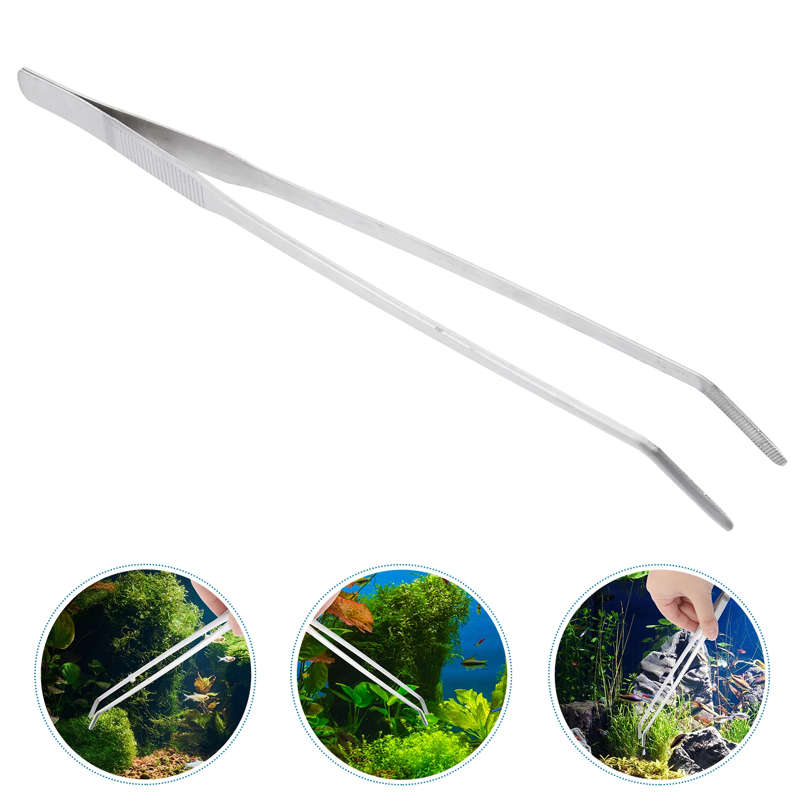 Tongsfeeding Aquarium Fish Reptiletank Aquatic Terrarium Curved Toolsaccessories Extracleaning Stainless Steel
Tongsfeeding Aquarium Fish Reptiletank Aquatic Terrarium Curved Toolsaccessories Extracleaning Stainless Steel