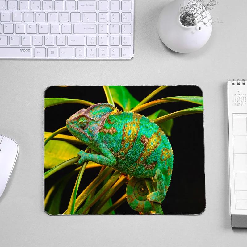 MousePad Gaming Hot Sell MousePads Anti-slip Cartoon Art Natural Rubber Kawaii Gamer Lizard Chameleon Carpet Home Keyboard Pad
MousePad Gaming Hot Sell MousePads Anti-slip Cartoon Art Natural Rubber Kawaii Gamer Lizard Chameleon Carpet Home Keyboard Pad