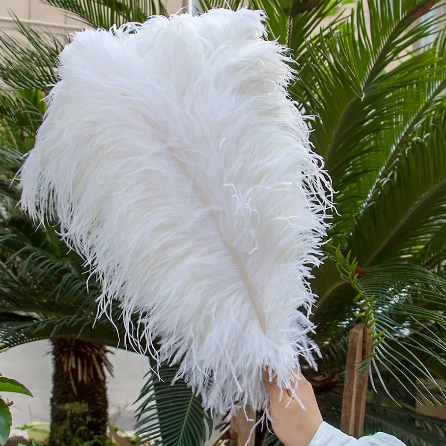 

Wholesale White Festival Ostrich Feather Thin Rod Wedding Decoration Feathers Colorful Real Carnival Plume