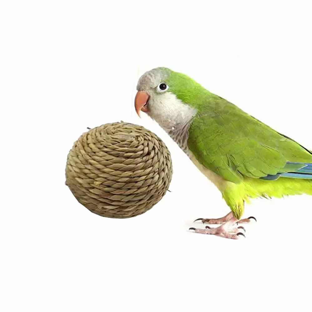 Pet Chew Toys Natural Grass Ball Rabbit Hamster Chewing Bite Toys Parrot Teeth Cleaning Playing Toy Small Pets Product 
Pet Chew Toys Natural Grass Ball Rabbit Hamster Chewing Bite Toys Parrot Teeth Cleaning Playing Toy Small Pets Product