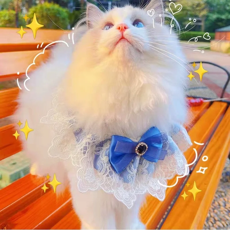 1PC Lace Saliva Towel Bib Lace Collar Accessoires Pet Puppy Cat Cute Scarf for Small Dogs Neckerchief Bib Kitten Accessories
1PC Lace Saliva Towel Bib Lace Collar Accessoires Pet Puppy Cat Cute Scarf for Small Dogs Neckerchief Bib Kitten Accessories