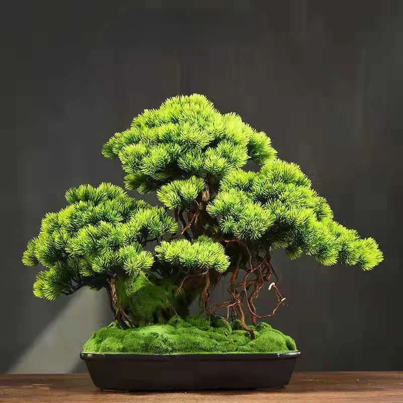 Simulation micro-landscape welcoming pine green plants bonsai living room porch decoration Chinese office home accessories
Simulation micro-landscape welcoming pine green plants bonsai living room porch decoration Chinese office home accessories