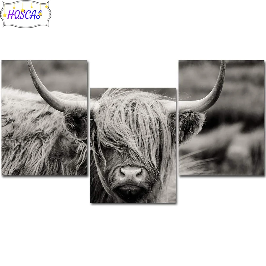 3pcs Animal art, Dutch highland cattle AB Diamond Painting Full Square drill Home Decoration Embroidery Handcraft Art Kits
3pcs Animal art, Dutch highland cattle AB Diamond Painting Full Square drill Home Decoration Embroidery Handcraft Art Kits