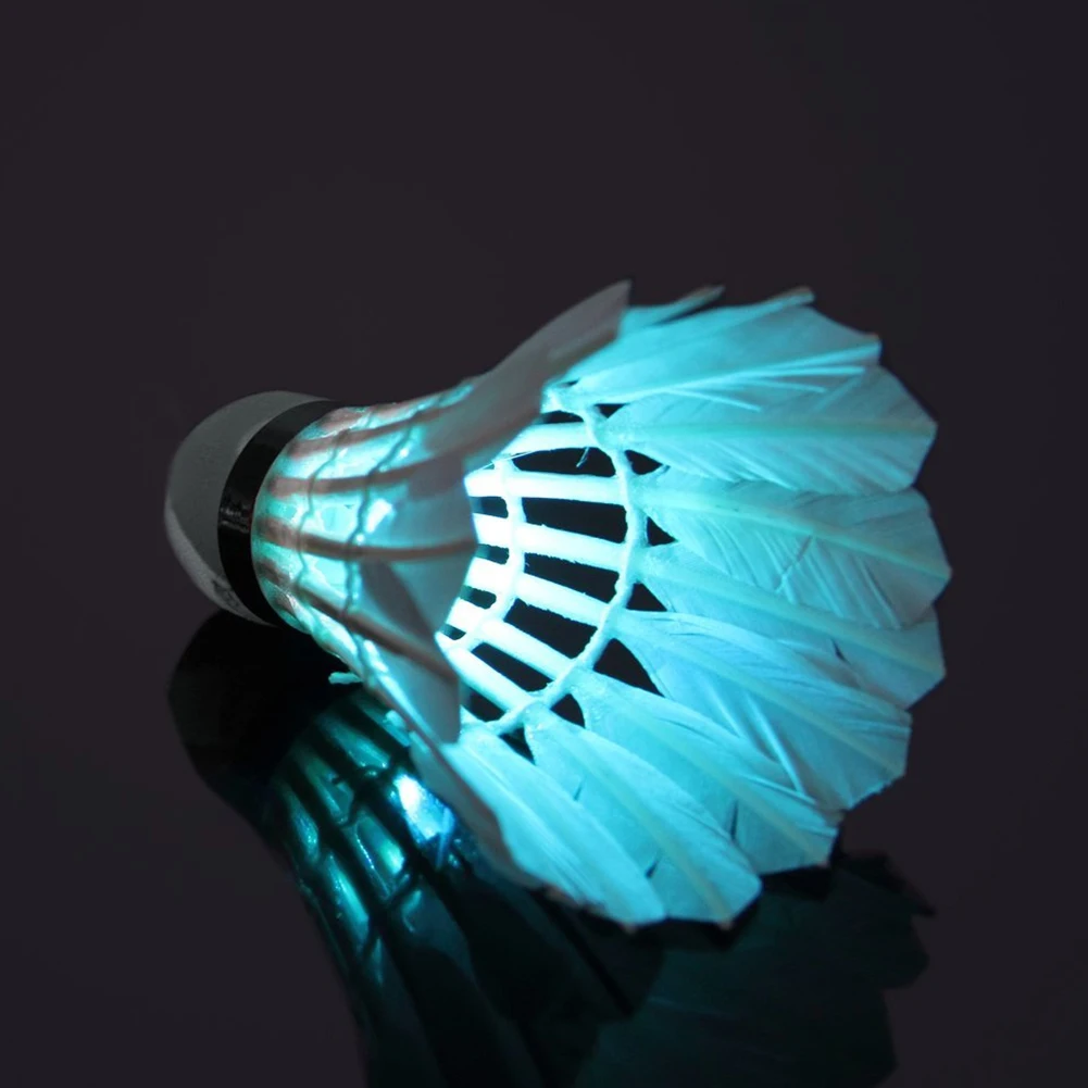 Portable Game Sports Training Durable Shuttlecock Badminton Ball Fun Reusable LED Lighting Beginners Gym Glow Indoor Outdoor
Portable Game Sports Training Durable Shuttlecock Badminton Ball Fun Reusable LED Lighting Beginners Gym Glow Indoor Outdoor