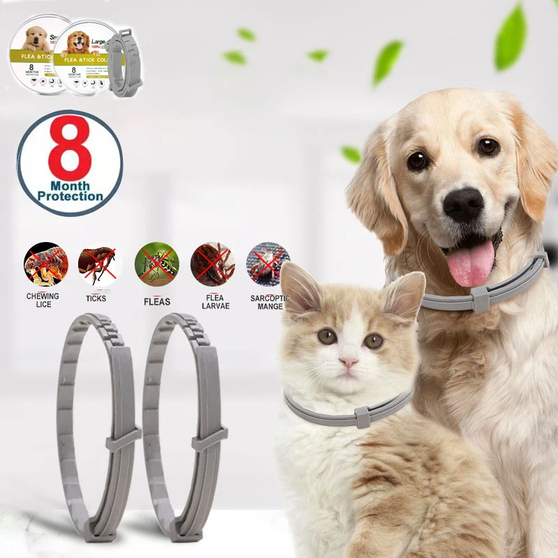 Dog Anti Flea And Tick Collar Cat Antiparasitic,Pet 8Month Protection Adjustable Collar For Large Dog Puppy Cat Dog Accessorie
Dog Anti Flea And Tick Collar Cat Antiparasitic,Pet 8Month Protection Adjustable Collar For Large Dog Puppy Cat Dog Accessorie