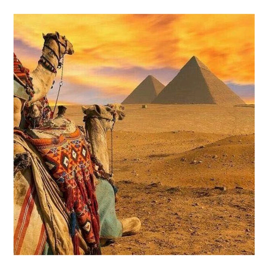 5D DIY Diamond Painting Full Square Round Drill Embroidery Egyptian Pyramids HandPainted Art Picture Mosaic Cross Stitch Decor
5D DIY Diamond Painting Full Square Round Drill Embroidery Egyptian Pyramids HandPainted Art Picture Mosaic Cross Stitch Decor