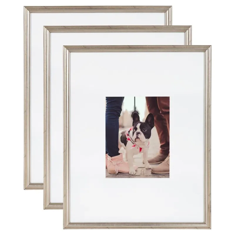 8 x 10, 16 x 20 Silver Wall Picture Frame (3 Count) Home Office Storage Picture Display
8 x 10, 16 x 20 Silver Wall Picture Frame (3 Count) Home Office Storage Picture Display