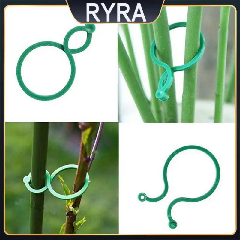 Fixture Vine Fixed Garden Vine Strapping Clips Wall Self-adhesive Buckle Hook Garden Decor Accessories Fastener Tied Plastic Hot 
Fixture Vine Fixed Garden Vine Strapping Clips Wall Self-adhesive Buckle Hook Garden Decor Accessories Fastener Tied Plastic Hot