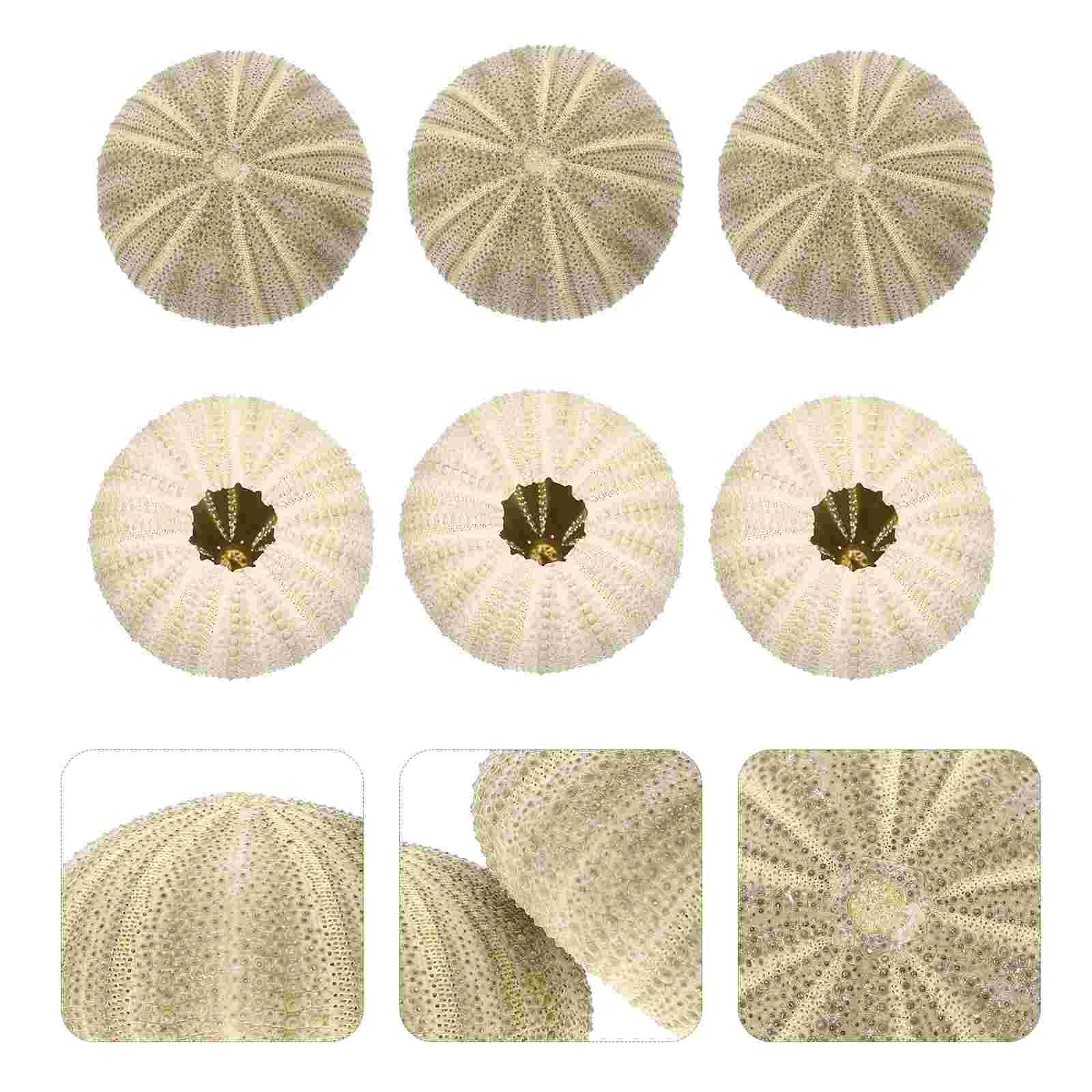 Urchin Shell Sea Airholder Hanging Planter Pot Succulent Natural Shells Decor Vase Mini Nautical Pots Diy Ornament Cute
Urchin Shell Sea Airholder Hanging Planter Pot Succulent Natural Shells Decor Vase Mini Nautical Pots Diy Ornament Cute