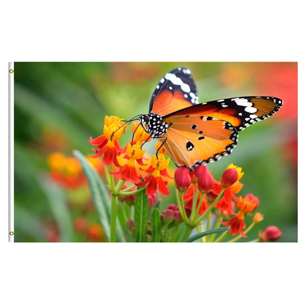 Butterfly Insects In on Orange Floral FlagFlowers Spring Summer Natural Seasonal Flags Banner with Brass Grommets for Home Decor
Butterfly Insects In on Orange Floral FlagFlowers Spring Summer Natural Seasonal Flags Banner with Brass Grommets for Home Decor