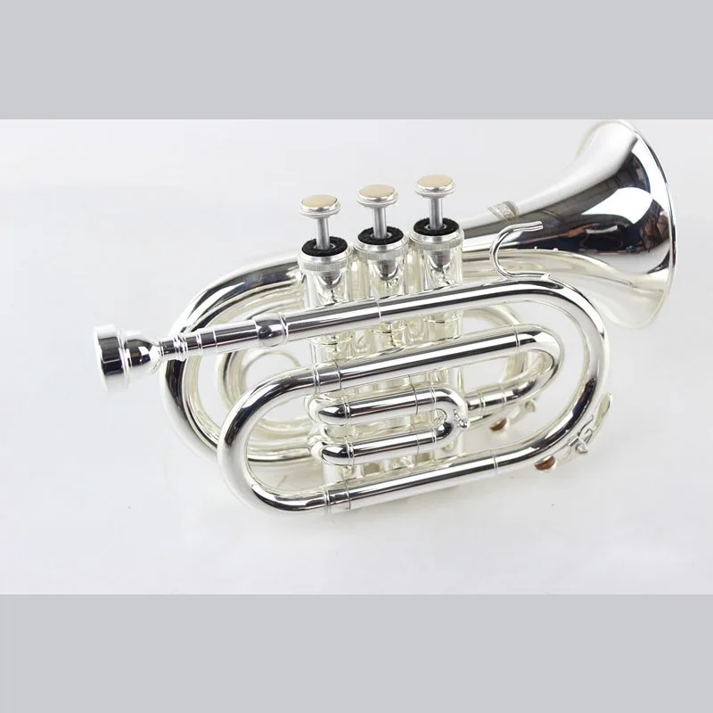 High quality Bb B flat pocket trumpet MTR-500S, palm trumpet instrument, with hard case, mouthpiece, cloth and gloves, silver-pl
High quality Bb B flat pocket trumpet MTR-500S, palm trumpet instrument, with hard case, mouthpiece, cloth and gloves, silver-pl