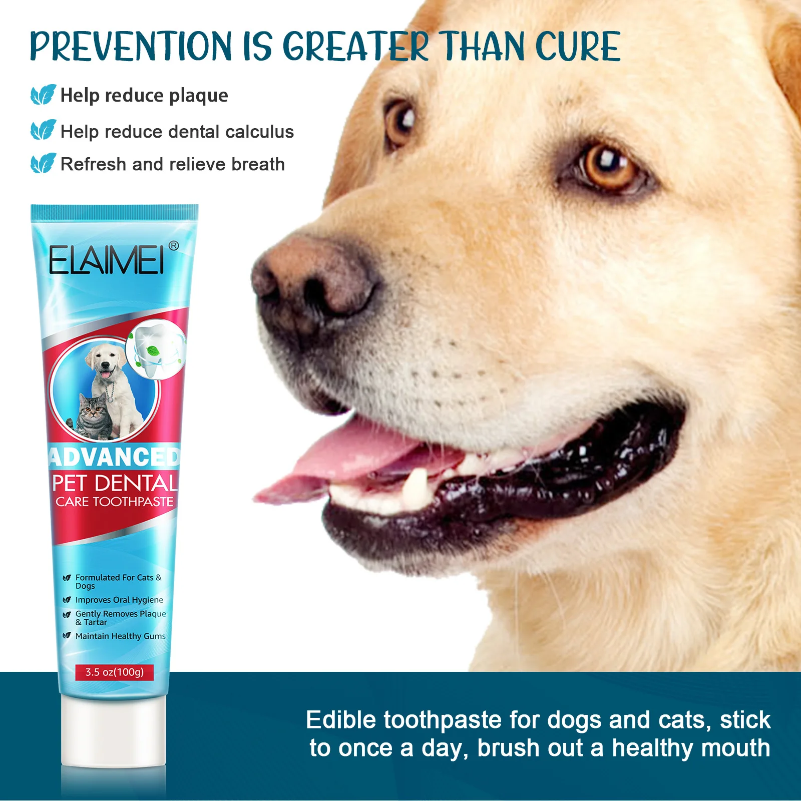 Pet Cat Dog Mint Toothpaste Oral Cleaning and Care Products Balance Bacteria CleanTeeth and Stones Dog Supplies Toothpaste
Pet Cat Dog Mint Toothpaste Oral Cleaning and Care Products Balance Bacteria CleanTeeth and Stones Dog Supplies Toothpaste