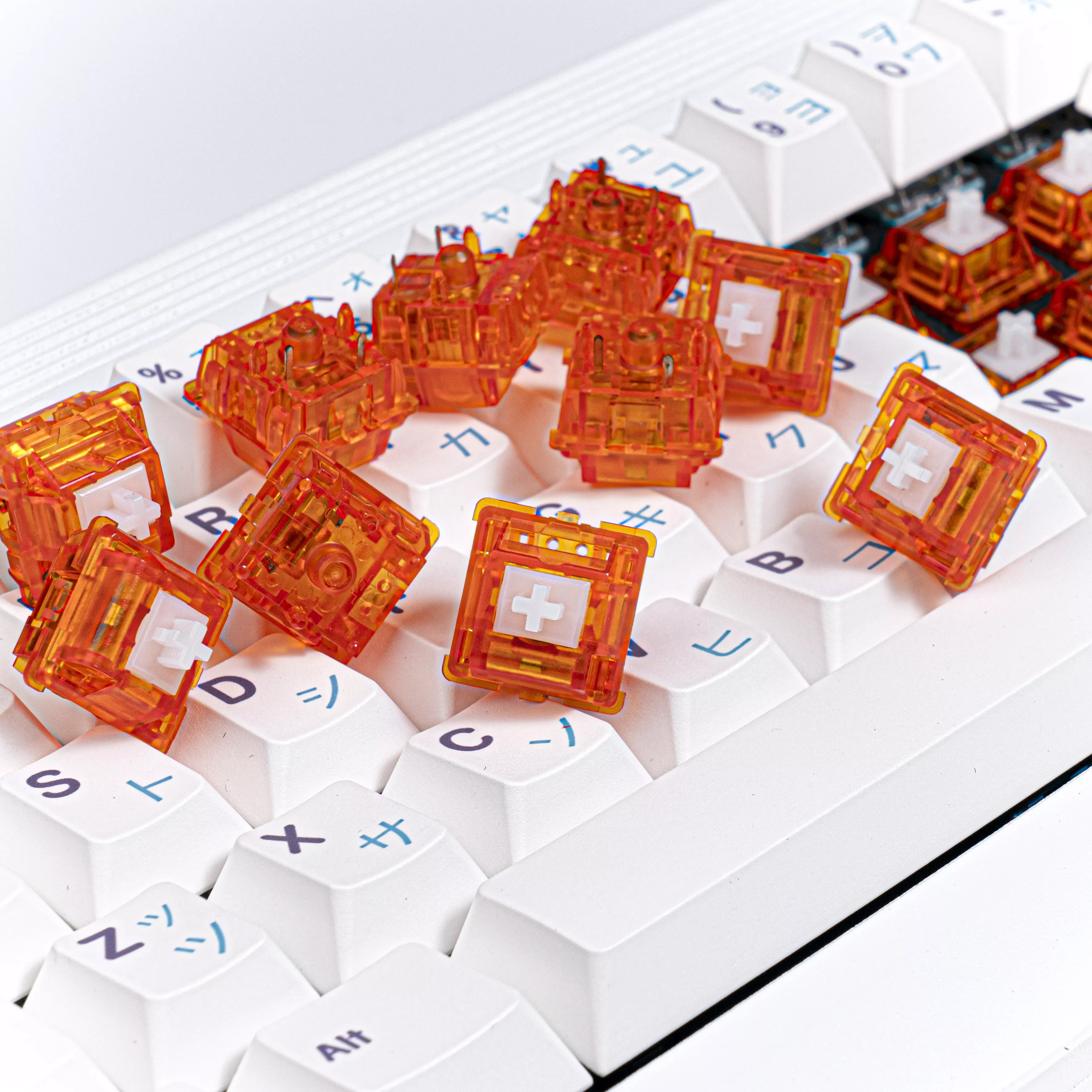 JWK foundry mechanical keyboard switch-epsilon (68g) 
JWK foundry mechanical keyboard switch-epsilon (68g)