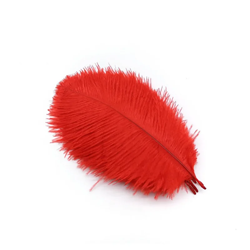10Pcs/Lot Colorful Ostrich Feathers for Crafts Wedding Party Decoration Table Centerpieces Handicraft Accessories Carnival Pluma
10Pcs/Lot Colorful Ostrich Feathers for Crafts Wedding Party Decoration Table Centerpieces Handicraft Accessories Carnival Pluma