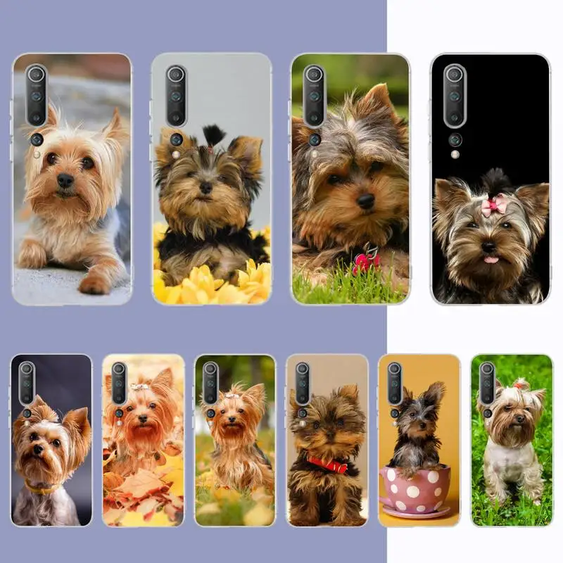 YNDFCNB Yorkshire terrier dog Phone Case for Samsung S21 A10 for Redmi Note 7 9 for Huawei P30Pro Honor 8X 10i cover
YNDFCNB Yorkshire terrier dog Phone Case for Samsung S21 A10 for Redmi Note 7 9 for Huawei P30Pro Honor 8X 10i cover