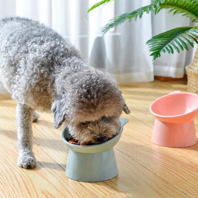 High-footed Cat and Dog Bowl 45°neck Protection Pure Color PP Material Pet Drinking Bowl Anti-dumping Binaural Pet Feeding Bowl
High-footed Cat and Dog Bowl 45°neck Protection Pure Color PP Material Pet Drinking Bowl Anti-dumping Binaural Pet Feeding Bowl