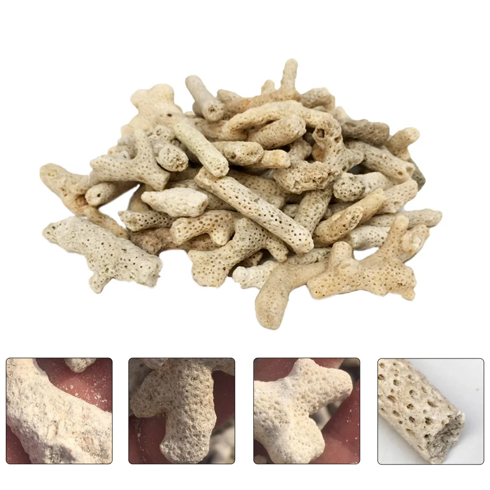 Aquarium Filtertank Coral Stone Media Gravelpond Decorations Decoration Porous Filtration Biological Landscape Stones Decorative
Aquarium Filtertank Coral Stone Media Gravelpond Decorations Decoration Porous Filtration Biological Landscape Stones Decorative