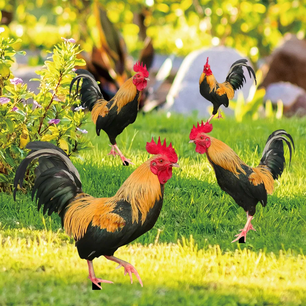 Decorative Garden Inserts Courtyard Chicken Stakes Acrylic Sign Rooster Ornaments Out Door 
Decorative Garden Inserts Courtyard Chicken Stakes Acrylic Sign Rooster Ornaments Out Door