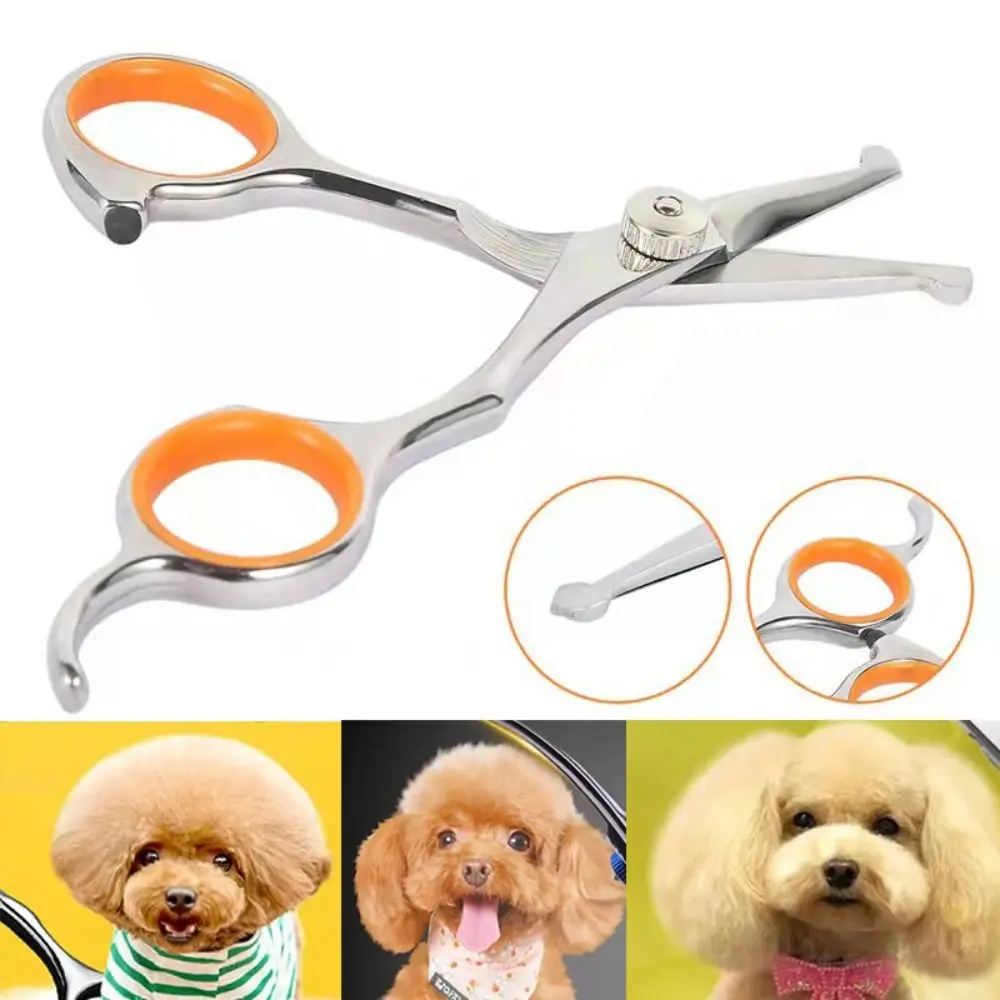 

Safety Pet Hairdresser Shearing Tool for Pet Grooming Scissors Hair Cutting Tools with Round Tip Pet Hair Scissor