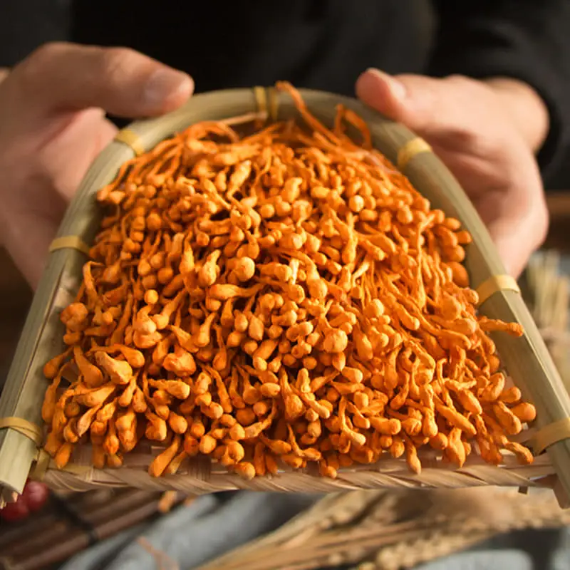 Cordyceps Flower Cordyceps Sinensis Cordyceps Militaris/Chong Cao Hua/North Cordyceps Herbal Cordyceps Flowe Birthday Gifts
Cordyceps Flower Cordyceps Sinensis Cordyceps Militaris/Chong Cao Hua/North Cordyceps Herbal Cordyceps Flowe Birthday Gifts