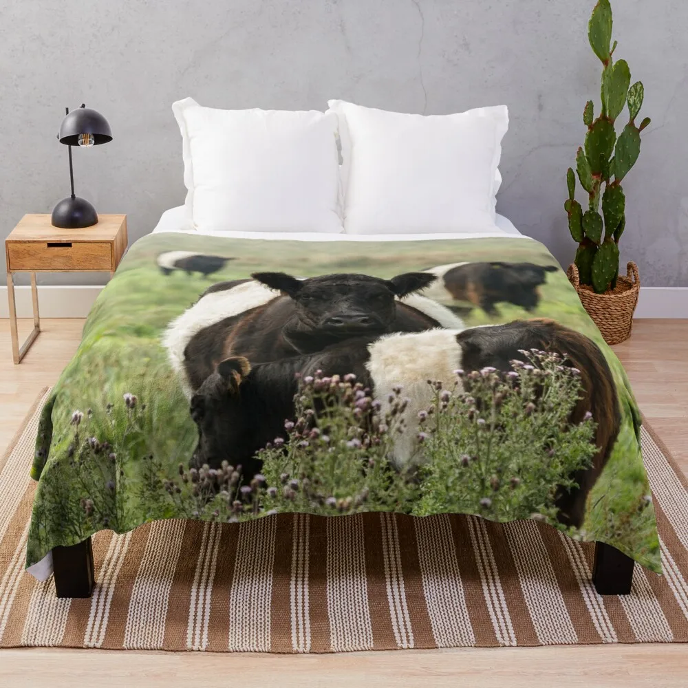 

Belted Galloway Cows Throw Blanket fur blanket