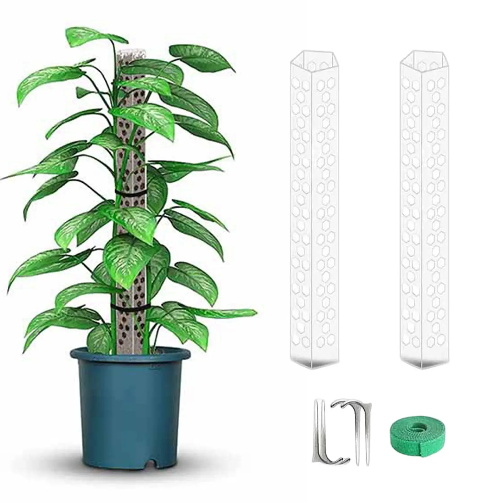 15.7 inch Plant Pole Unique Design with Strap and Nails Stackable Translucent Plant Stick for Monstera Climbing Plants Spagnum
15.7 inch Plant Pole Unique Design with Strap and Nails Stackable Translucent Plant Stick for Monstera Climbing Plants Spagnum