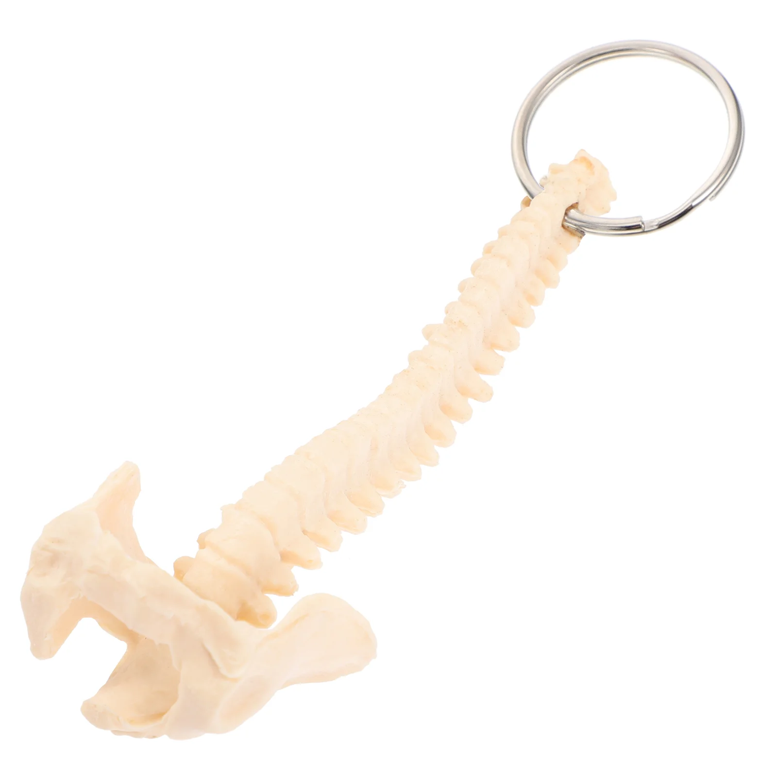 Human Spine Model Key Chain Teaching Aids Car Ornament Pvc Keyring Keychain Pendant Child
Human Spine Model Key Chain Teaching Aids Car Ornament Pvc Keyring Keychain Pendant Child