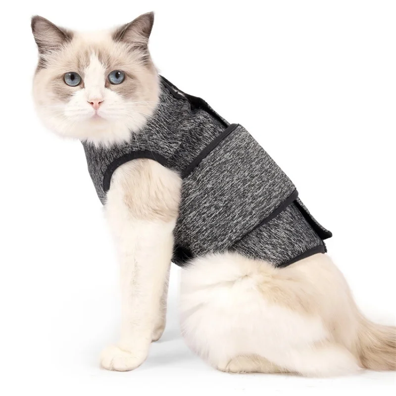 Luxury Cat Keep Calming Clothes Roupas Pet Apparel Designer Comfort Frightened Appease Clothes For Any Anxiety Issues
Luxury Cat Keep Calming Clothes Roupas Pet Apparel Designer Comfort Frightened Appease Clothes For Any Anxiety Issues