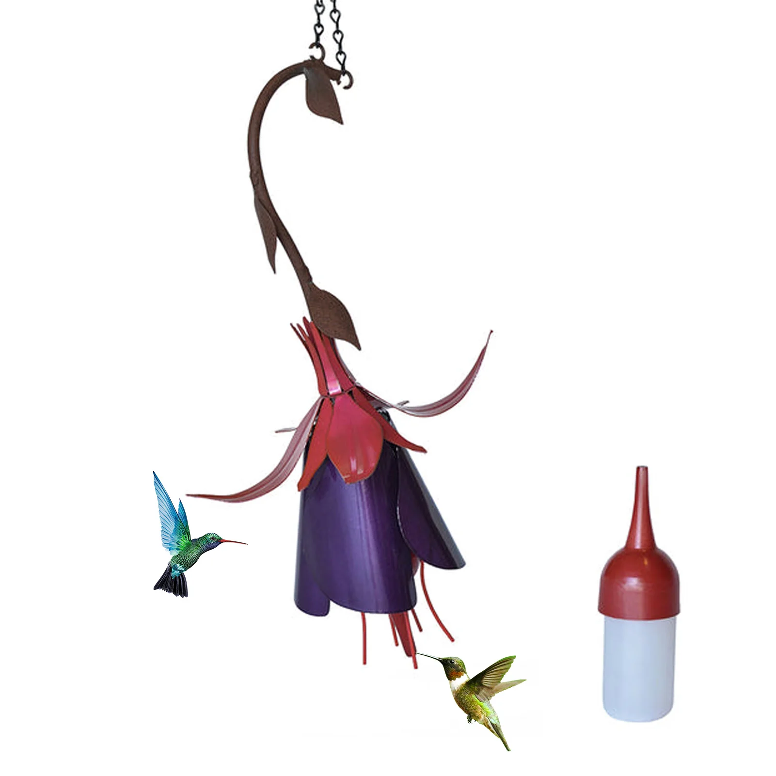 Bird Feeders For Outside Steel Humming Bird Feeder Decorative Garden Yard Art Small Unique Fuchsia Flower Wild Humming Bird
Bird Feeders For Outside Steel Humming Bird Feeder Decorative Garden Yard Art Small Unique Fuchsia Flower Wild Humming Bird