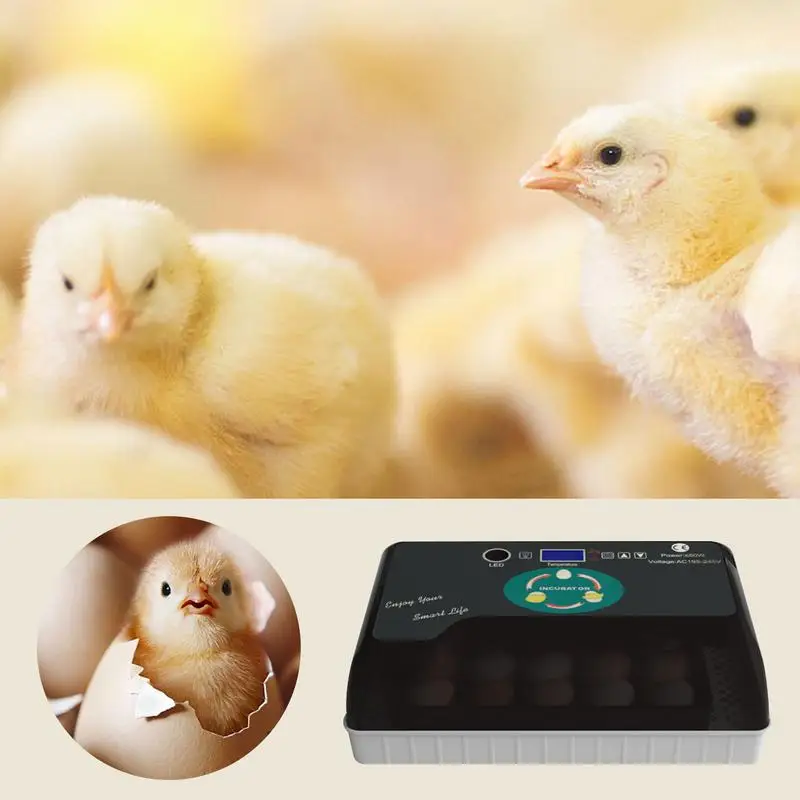 

Chicken Egg Incubator LED Automatic Egg Incubator Humidity Display Egg Candler Automatic Egg Turner For Hatching Chickens