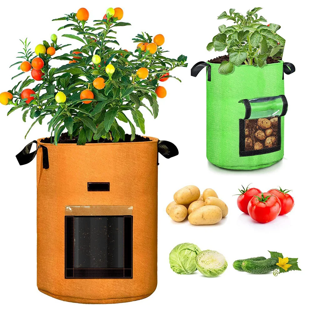 Potato Grow Bag PE Vegetable Onion Plant Bag With Handle Thickened Garden Carrot Taro Peanut Growing Bag
Potato Grow Bag PE Vegetable Onion Plant Bag With Handle Thickened Garden Carrot Taro Peanut Growing Bag