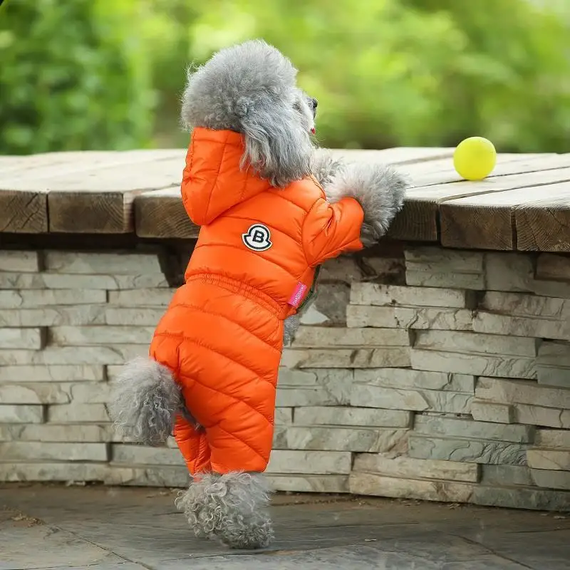 Dog Clothes Teddy Autumn and Winter Cotton-padded Clothes Bichon Pomeranian Small Dog Spring and Autumn Down Cotton Clothes 
Dog Clothes Teddy Autumn and Winter Cotton-padded Clothes Bichon Pomeranian Small Dog Spring and Autumn Down Cotton Clothes