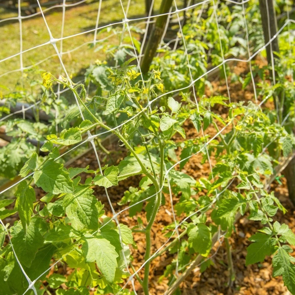Plant Polyester Trellis Netting Hydroponics Plant Supporting Vine Climbing Nets Home Garden Weaving Grow Holder Planting Net A 
Plant Polyester Trellis Netting Hydroponics Plant Supporting Vine Climbing Nets Home Garden Weaving Grow Holder Planting Net A