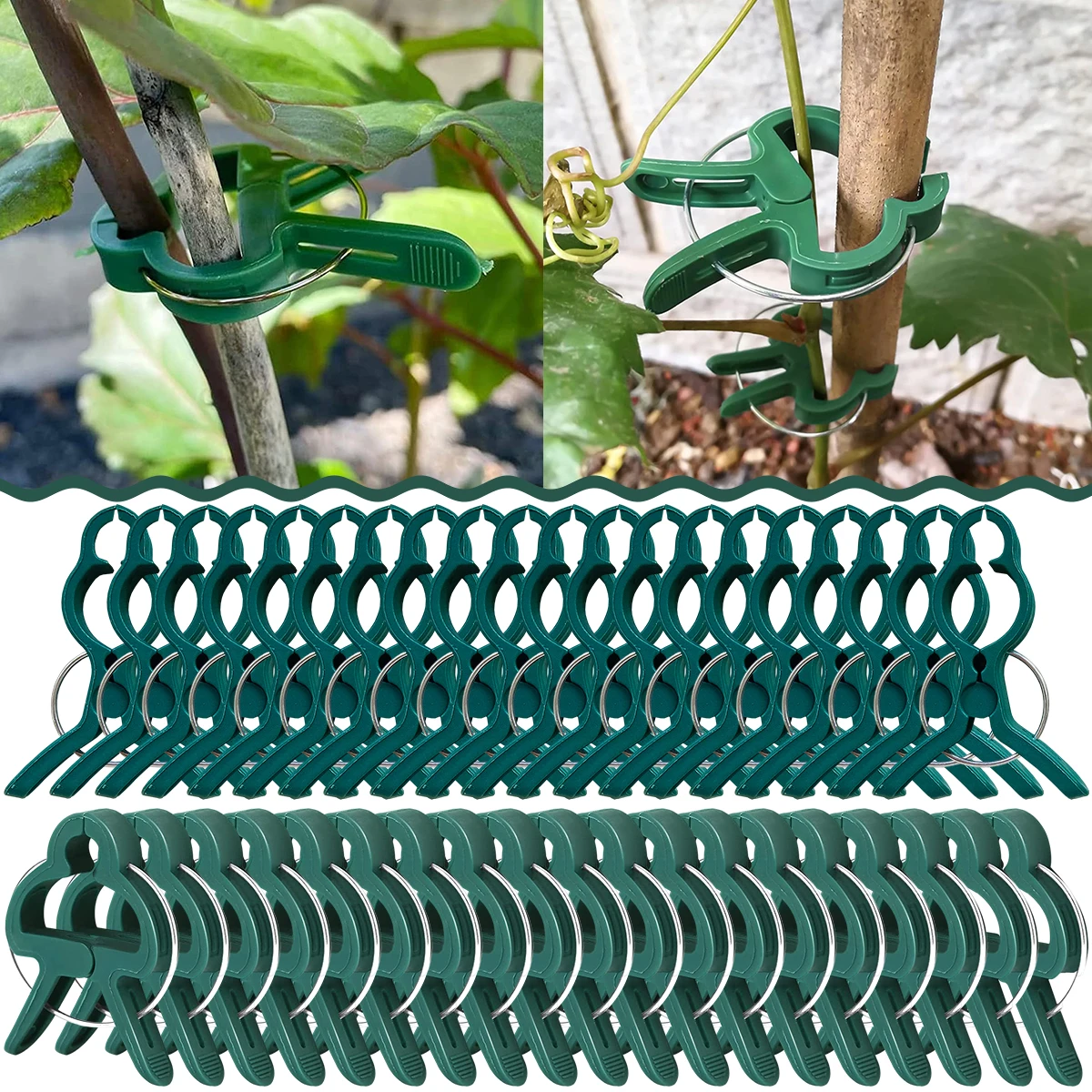 20 шт. Зажимы для растений многоразовая Поддержка цветов держатель для выращивания овощей Пряжка крючок Размер S садовые растения инструменты для скалолазания 
20 шт. Зажимы для растений многоразовая Поддержка цветов держатель для выращивания овощей Пряжка крючок Размер S садовые растения инструменты для скалолазания