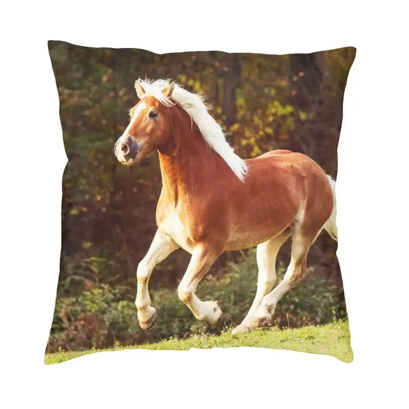 Haflinger Horse Throw Pillow Covers Decoration Cute Animal Outdoor Cushions Square Pillowcase
Haflinger Horse Throw Pillow Covers Decoration Cute Animal Outdoor Cushions Square Pillowcase