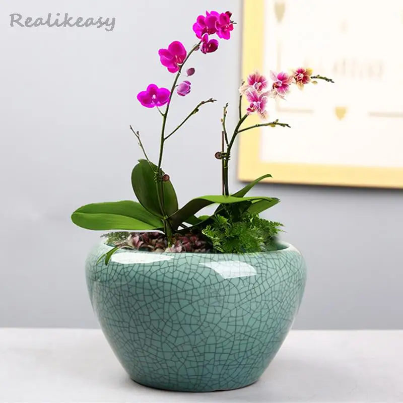 2size Round Chinese Flower Pot Ceramic Succulent Green Plant Multi-Functional Flowerpot Home Creative Crack Decorative Flowerpot
2size Round Chinese Flower Pot Ceramic Succulent Green Plant Multi-Functional Flowerpot Home Creative Crack Decorative Flowerpot