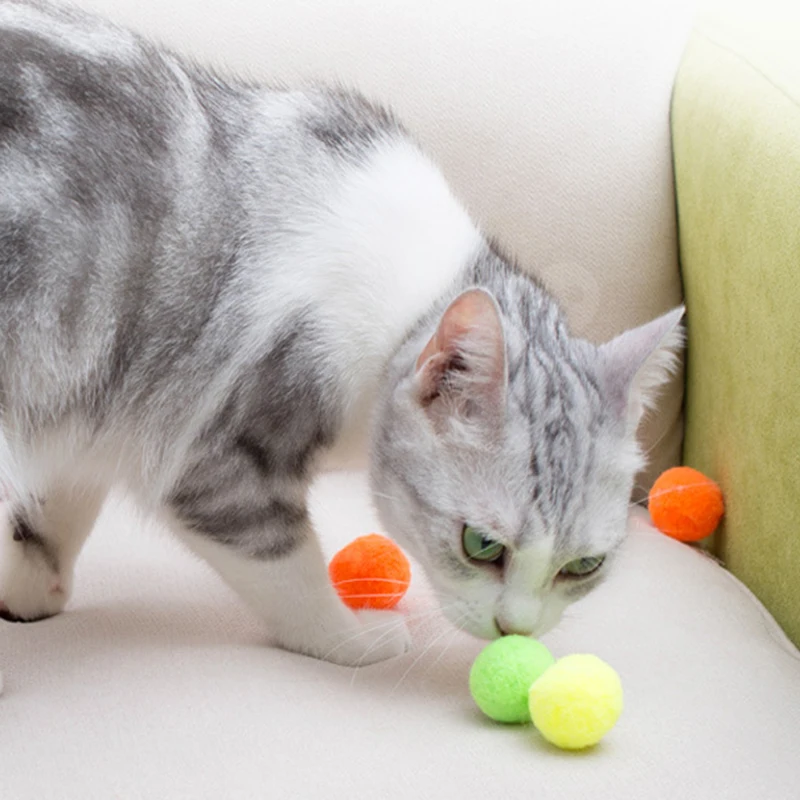 Cute Funny Cat Toys Stretch Plush Ball 0.98in Cat Toy Ball Creative Colorful Interactive Cat Pom Pom Cat Chew Toy Pet Supplies
Cute Funny Cat Toys Stretch Plush Ball 0.98in Cat Toy Ball Creative Colorful Interactive Cat Pom Pom Cat Chew Toy Pet Supplies