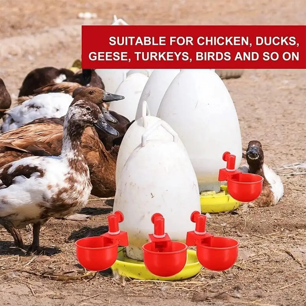 6pcs Automatic Chicken Drinker Quail Hanging Water Cup Nipple Drinking Bowls Feed Birds Water Bowl Drinker Cups for Backyard Pou
6pcs Automatic Chicken Drinker Quail Hanging Water Cup Nipple Drinking Bowls Feed Birds Water Bowl Drinker Cups for Backyard Pou