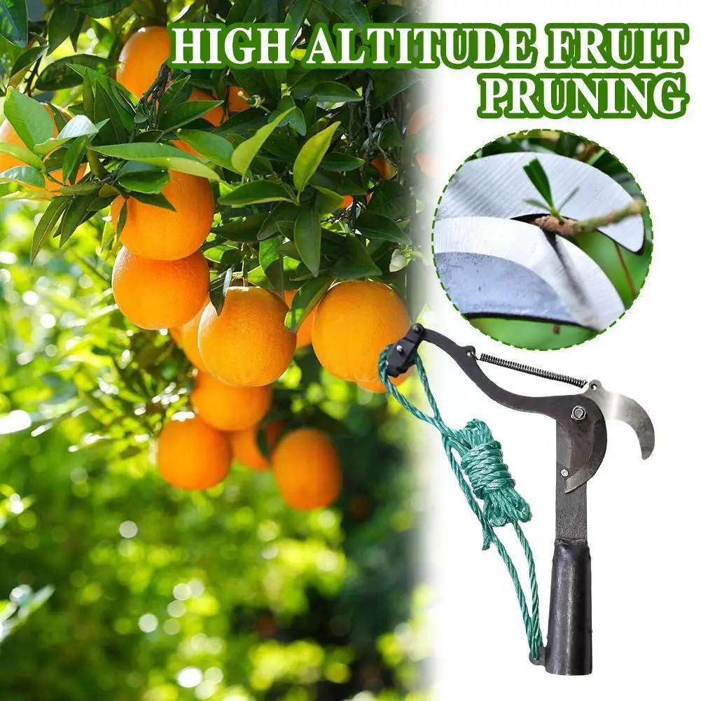 1Pcs Telescopic High-altitude Scissors Fruit Picker Branches Cutting Branches Tools Garden High-altitude High-altitude Prun D9O8
1Pcs Telescopic High-altitude Scissors Fruit Picker Branches Cutting Branches Tools Garden High-altitude High-altitude Prun D9O8